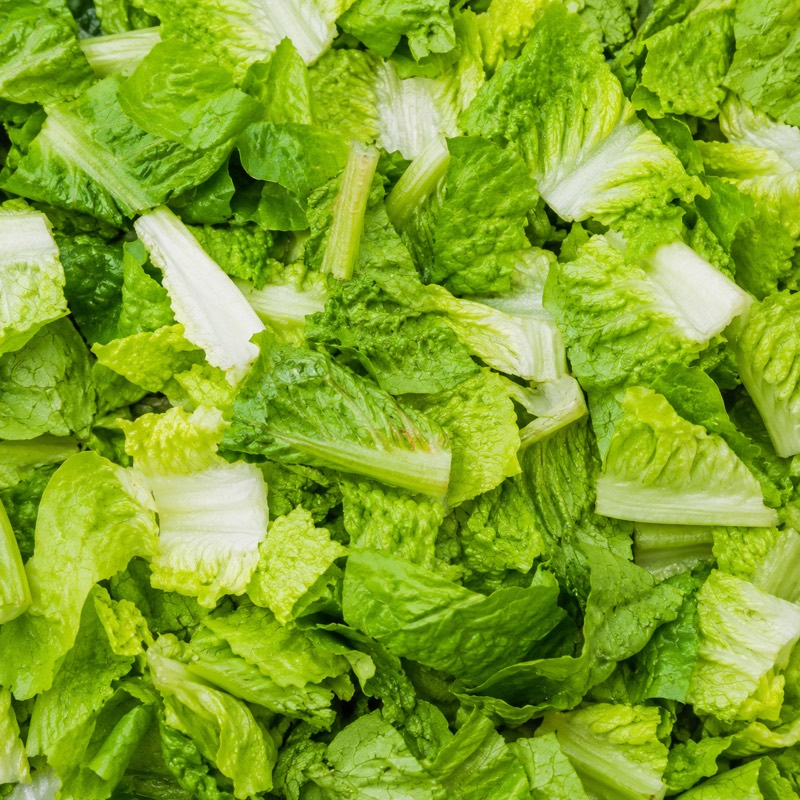 Romaine Lettuce
